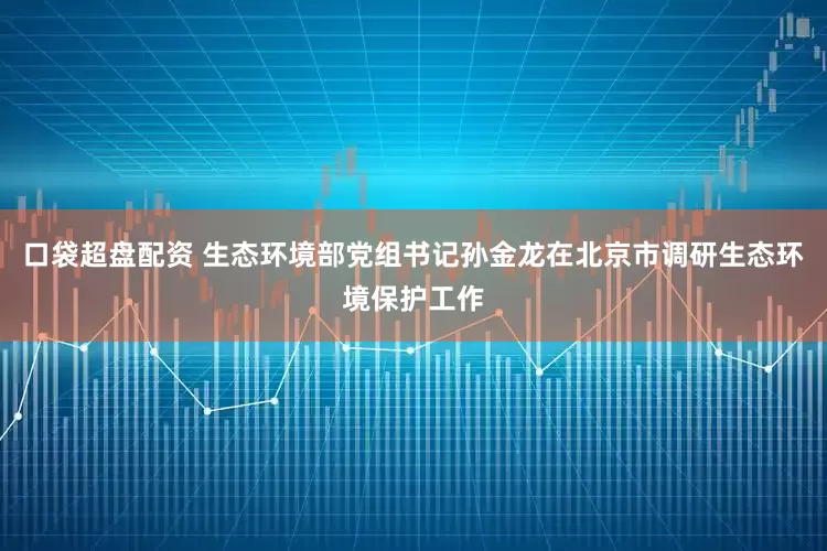 口袋超盘配资 生态环境部党组书记孙金龙在北京市调研生态环境保护工作