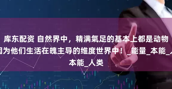 库东配资 自然界中，精满氣足的基本上都是动物，因为他们生活在魄主导的维度世界中！_能量_本能_人类
